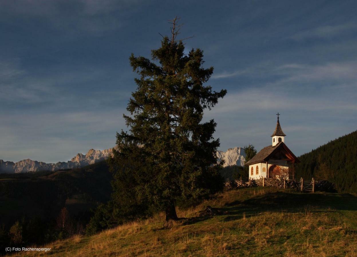 Chalet Im Dorf Goldegg Exterior photo